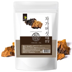 엄마애손 차가버섯 추출 분말 500g 중국산 차가버섯차 영양 가루 웰빙 건강식품