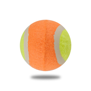 테니스공 5개 단위 세트 연습공 캐치볼 연습용 오렌지볼테니스 놀이용 주니어